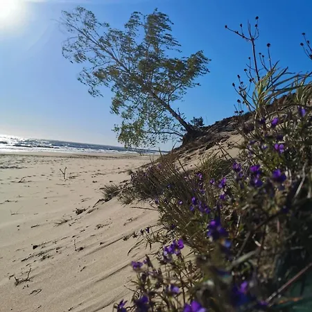 Ptasi Zakatek M&k - Wyspa Sobieszewska Lägenhet Gdańsk