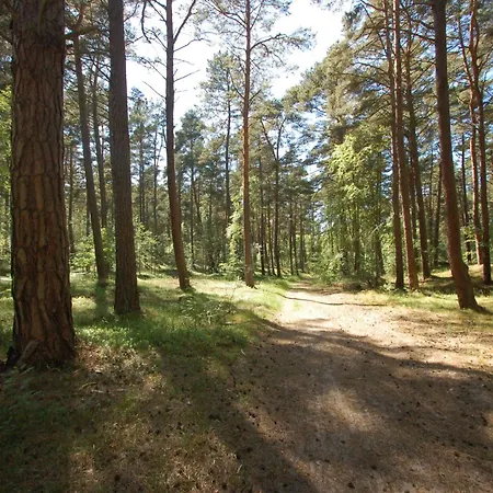 Апартаменты Ptasi Zakatek M&k - Wyspa Sobieszewska