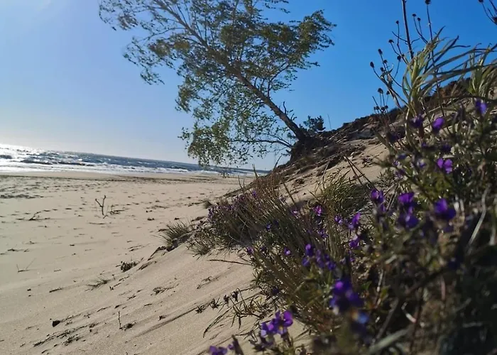 Ptasi Zakatek M&k - Wyspa Sobieszewska Lägenhet Gdańsk