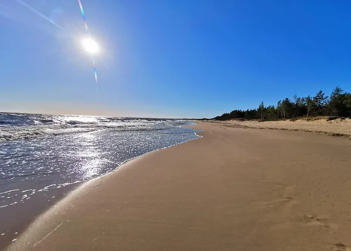 Ptasi Zakatek M&k - Wyspa Sobieszewska Gdańsk