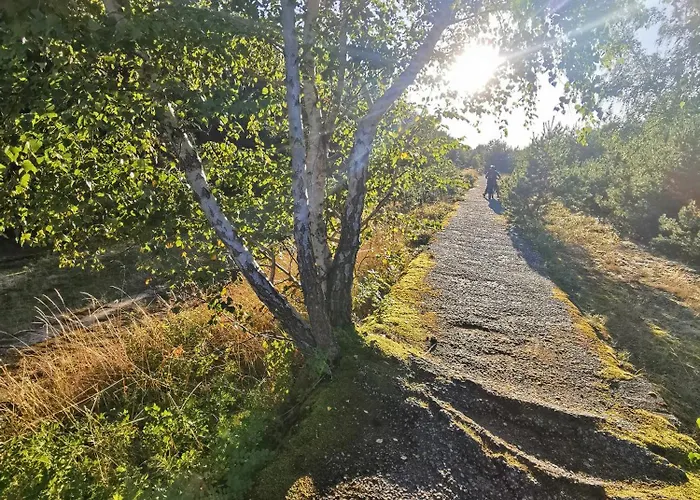 Ptasi Zakatek M&k - Wyspa Sobieszewska Lägenhet Gdańsk