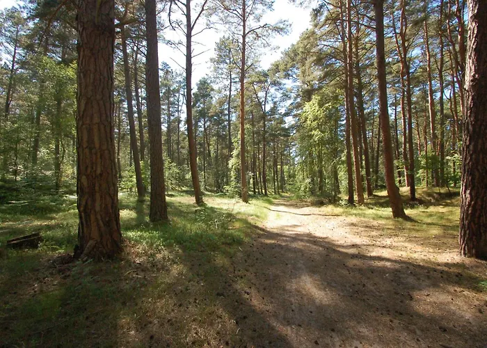 Апартаменты Ptasi Zakatek M&k - Wyspa Sobieszewska